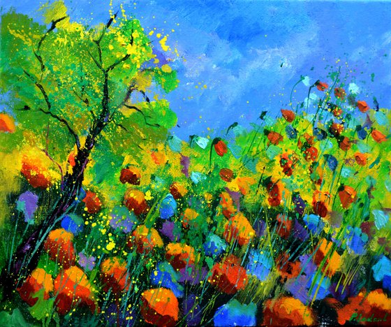 Poppies near my Home