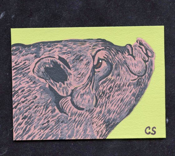 ACEO ATC Original Miniature Painting Potbelly Pig Pet Farmyard Art-Carla Smale