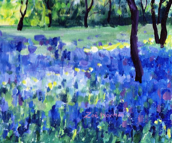 Bluebells in Spring