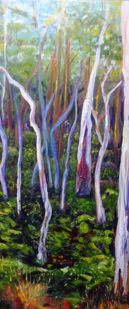 GUM TREES, NORTON SUMMIT by Maureen Finck