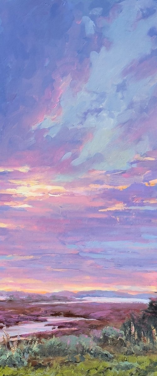 Bodega Bay Sunset by Tatyana Fogarty