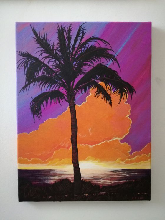 Palm tree sunset
