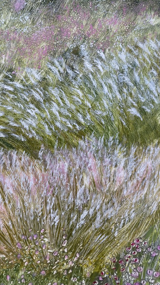 Ornamental grasses in the garden