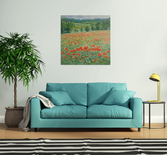 Poppy fields in Tuscany