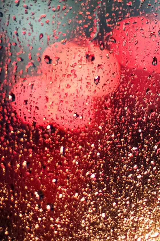 And It Rained All Night