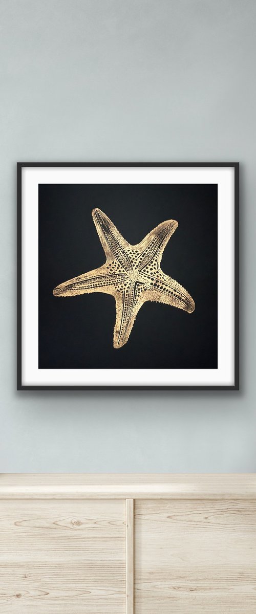 Starfish Linocut by Amy Cundall