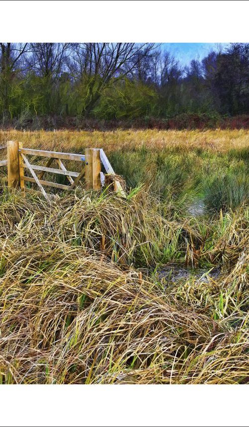 The Gate in the Grass by Martin  Fry