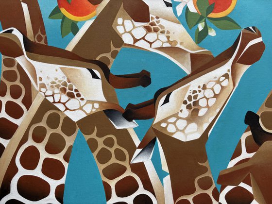 Giraffes