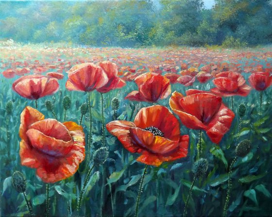 Poppy Field