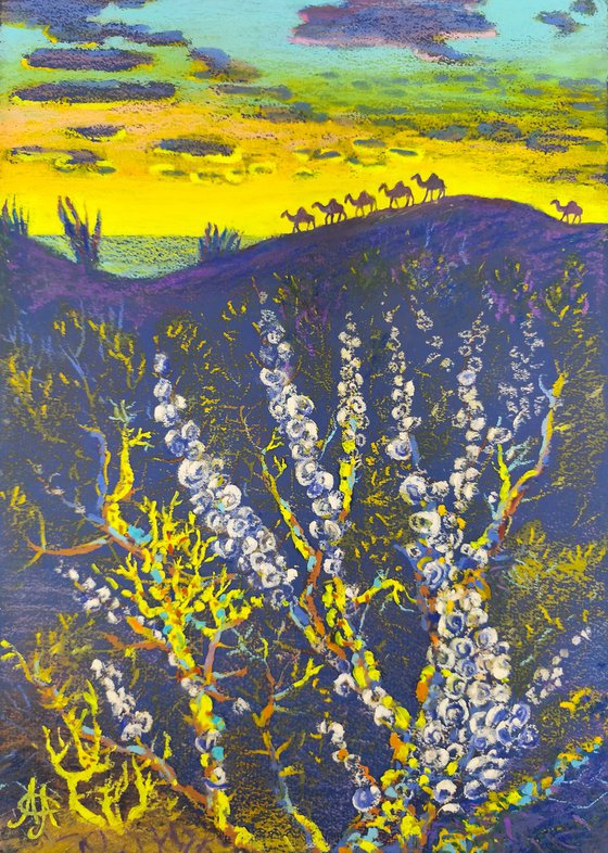 Snail Corals and a Camel Caravan