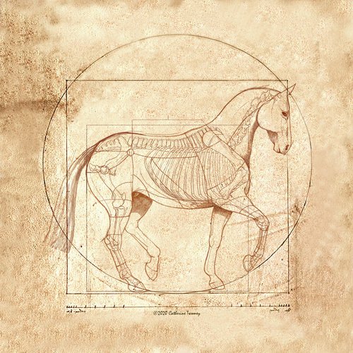 DaVinci Horse: The Piaffe Revealed Limited Edition Print by Catherine Twomey