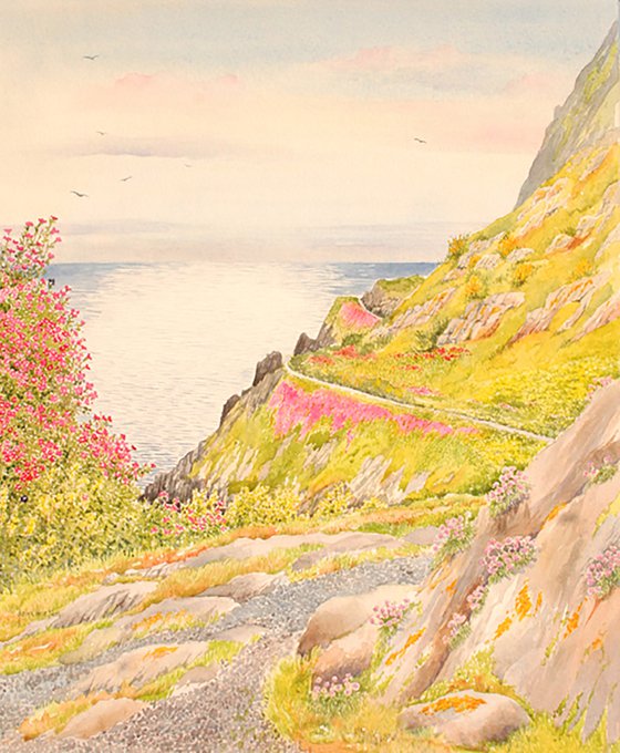 Cornish summer cliff walk