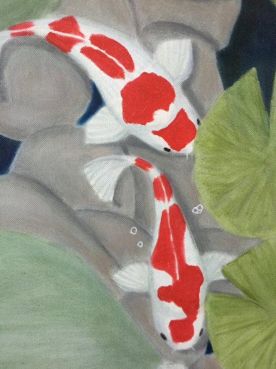 KOI FISH IN A POND