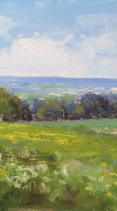 Spring in Provence by Pascal Giroud