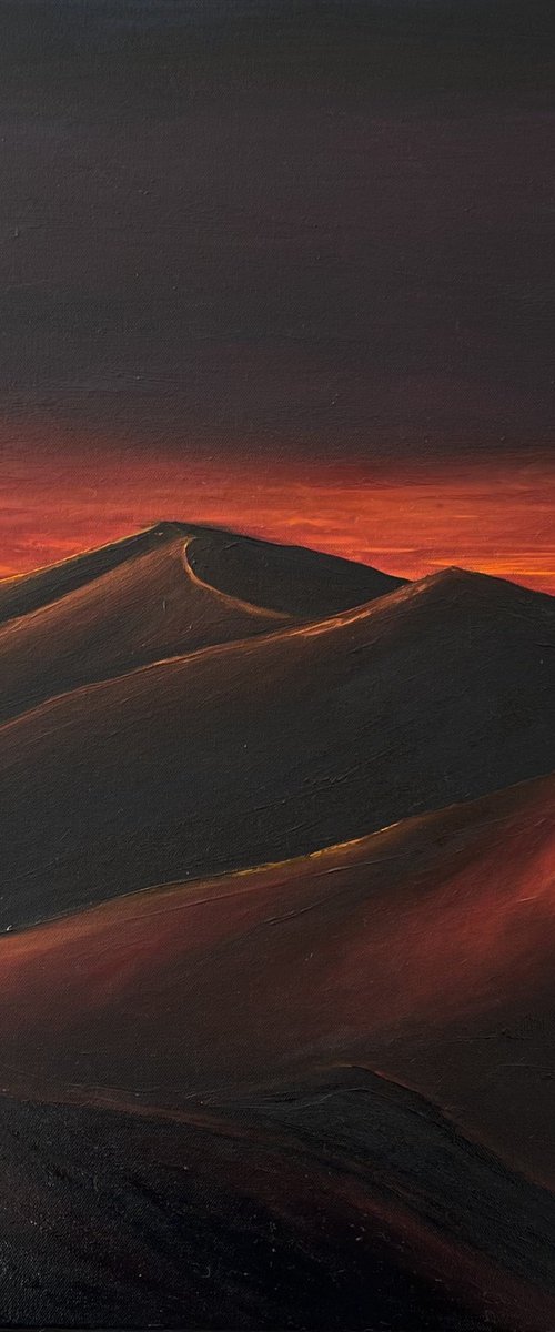 The last minute of sunset by Anastasiia Novitskaya