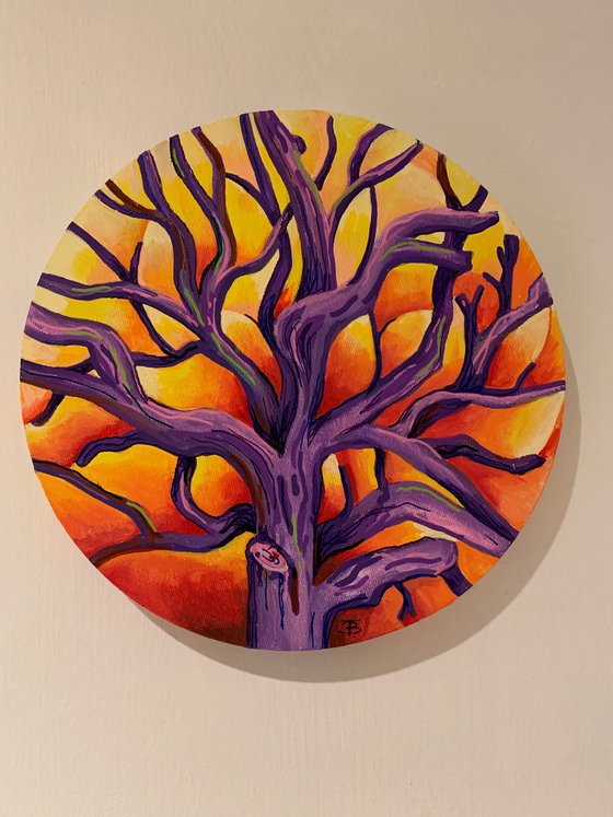 The Sunset Tree