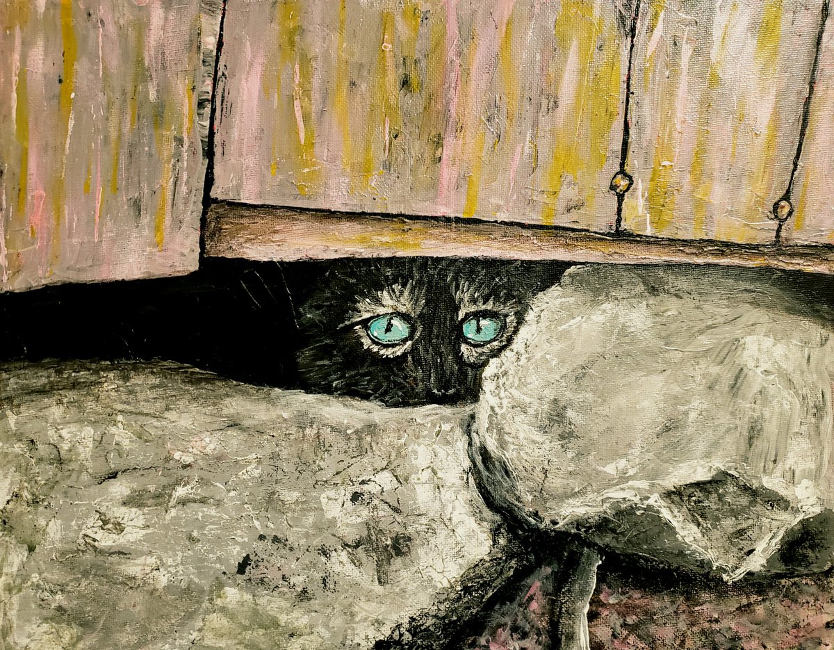 Cat Under Shed by Robbie Potter