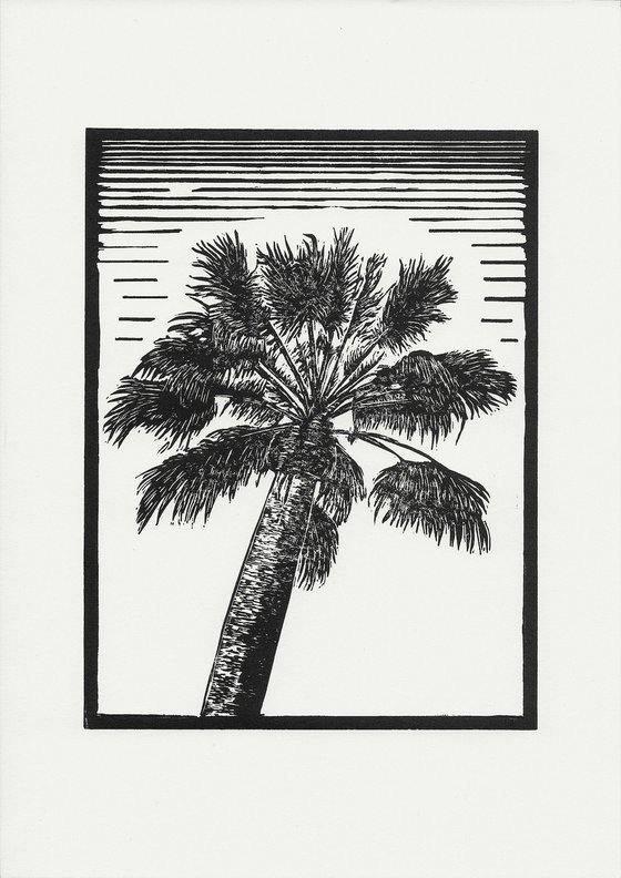 Palm Tree