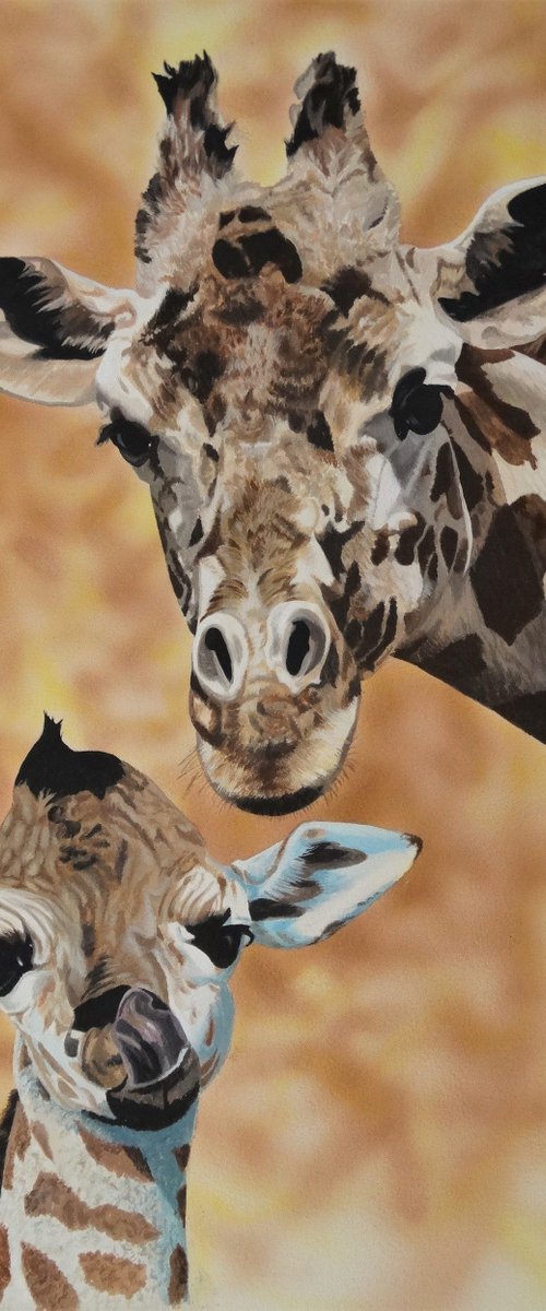 Daisy and calf by Julian Wheat