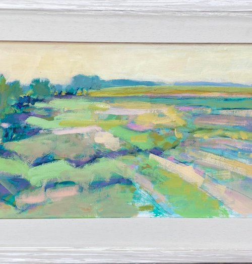 Open Fields by Chrissie Havers
