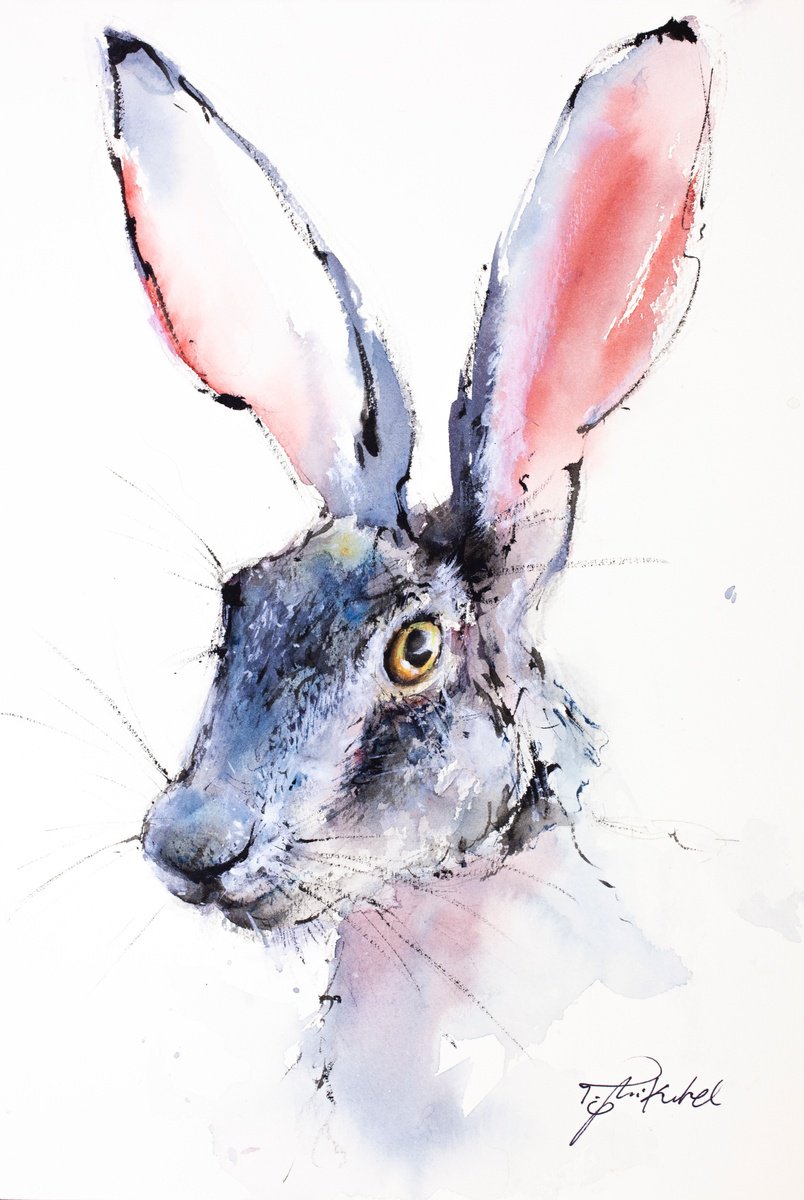 Peter Rabbit by Tomasz Mikutel