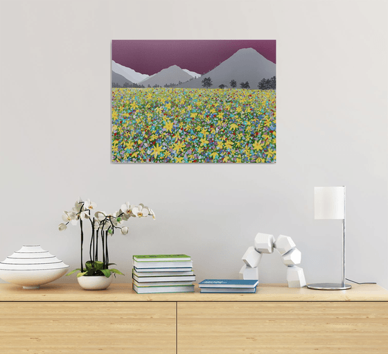 Meadow under High Hartsop Dodd, The Lake District