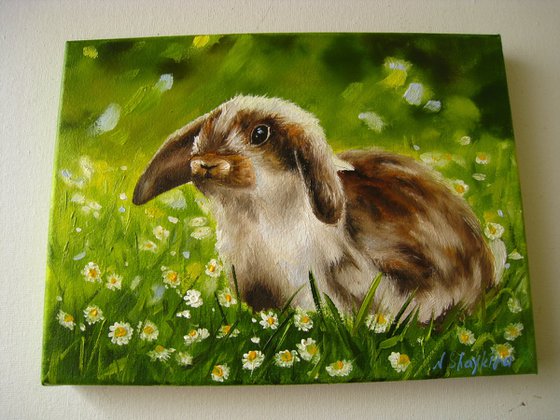 Bunny in Meadow Flowers