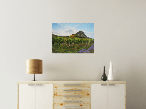 Serene Vineyards and Lavender Fields, Meadow Landscape