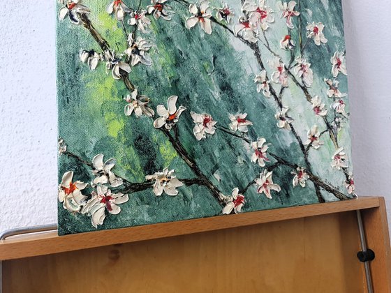 Cherries in bloom 1