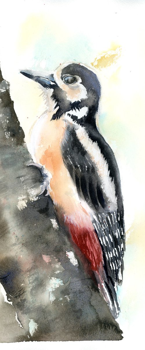 Woodpecker by Olga Tchefranov (Shefranov)