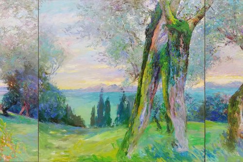 Olive grove. by Svitlana Gunchenko