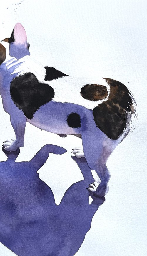 Black White Dog French Bulldog by Yuliia Sharapova