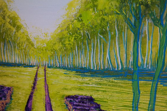 The woods  (Hockney inspired)-  Fields and Colors Series