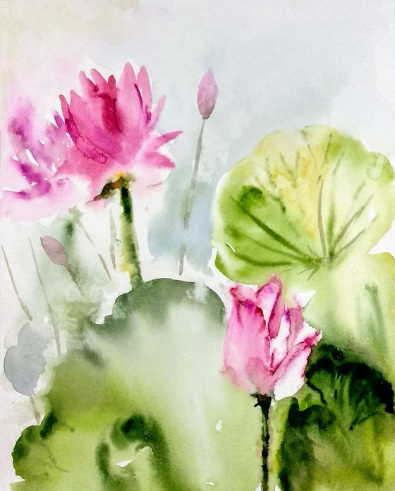 Waterlilies Lotus Painting Limited Edition Print