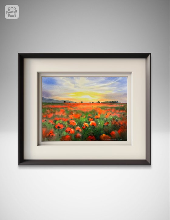 Poppy field at sunset