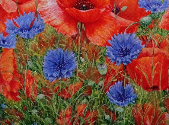 Poppies with cornflowers.