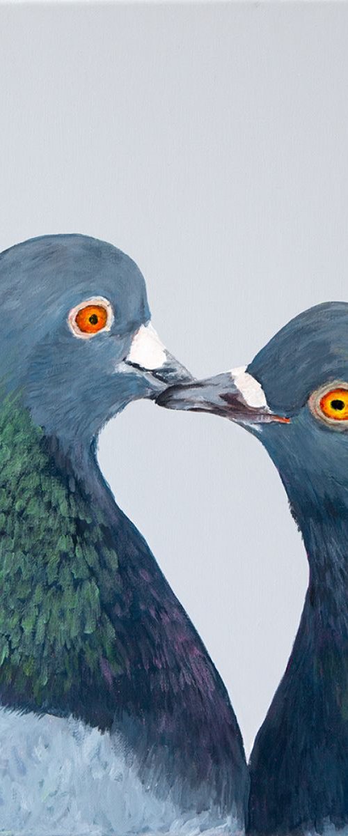Pigeon Pair by Amy Devlin