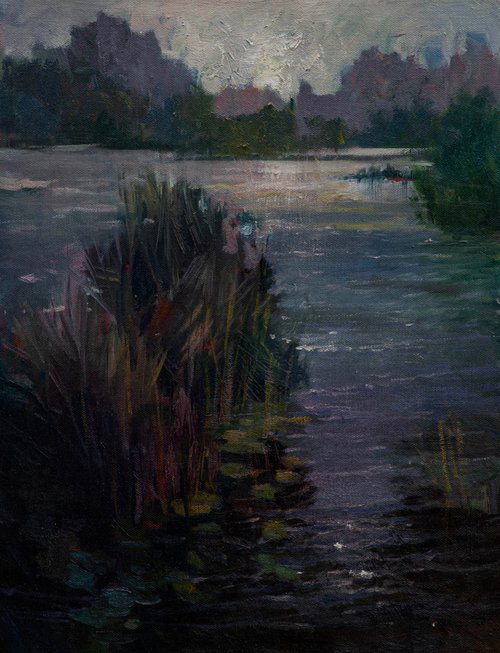 Early morning on Sacramento River by Sergei Yatsenko
