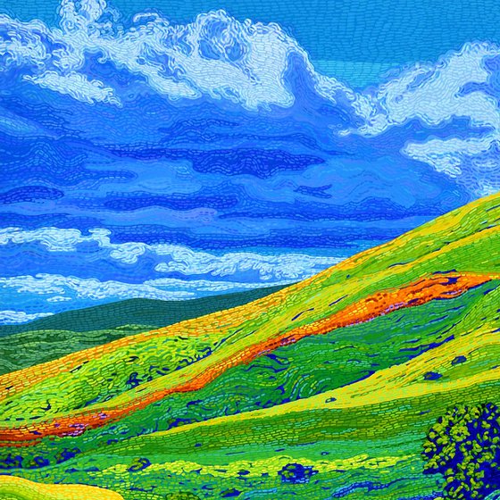 California Hills In Bloom