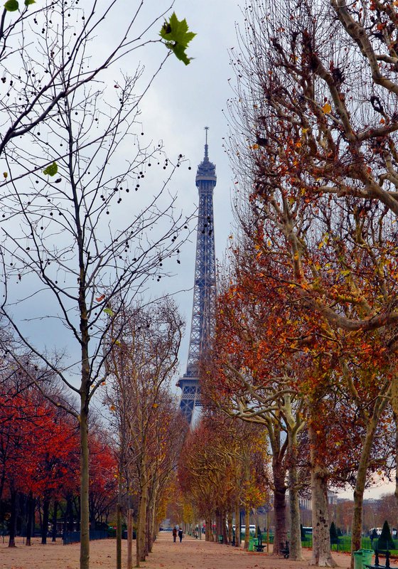 " Autumn palette. Paris "  Limited Edition 1 / 15