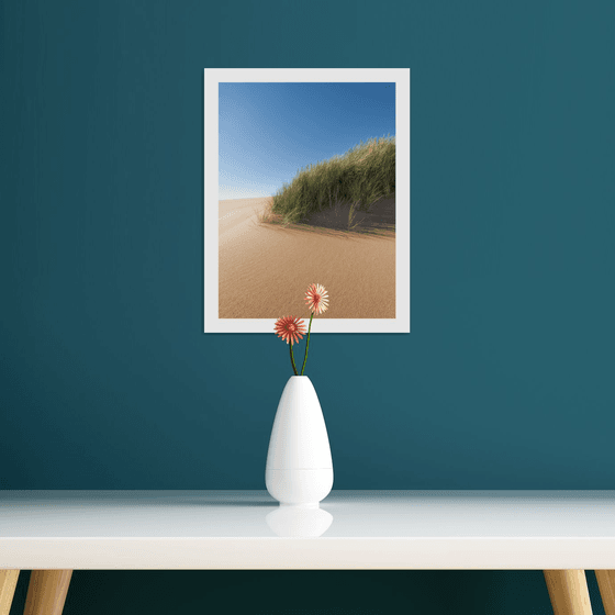 Dune Portrait I