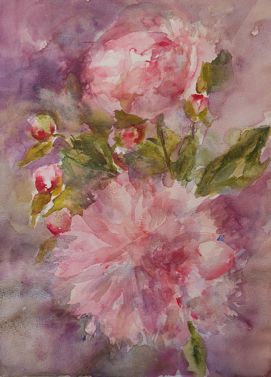 Impressionistic Botanical Watercolour By Els Driesen, 12 X 16, Peonies, Original Artwork