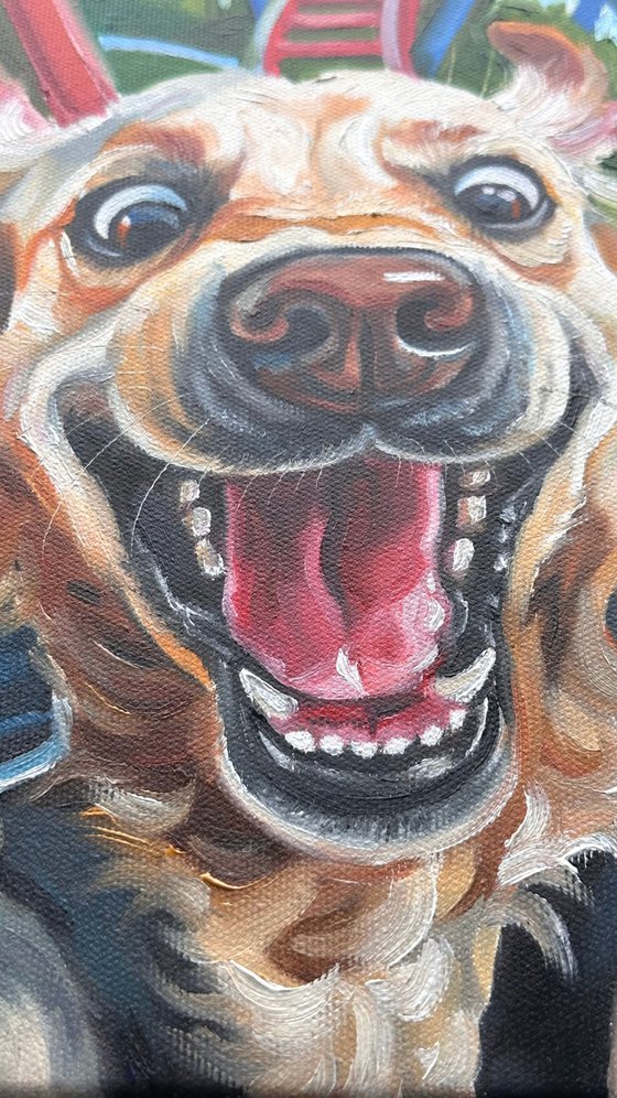 No Brakes | Dog on Rollercoaster