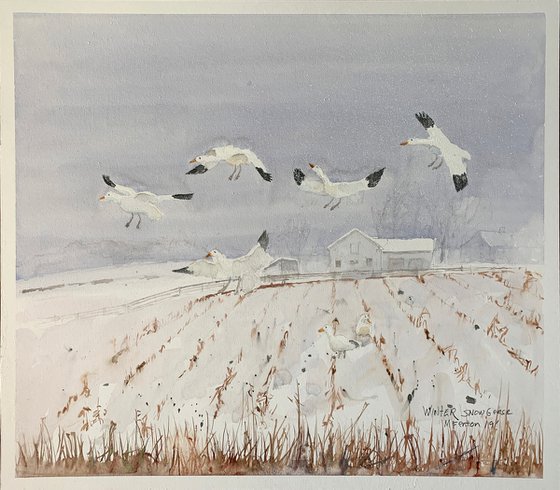 Winter Snowgeese