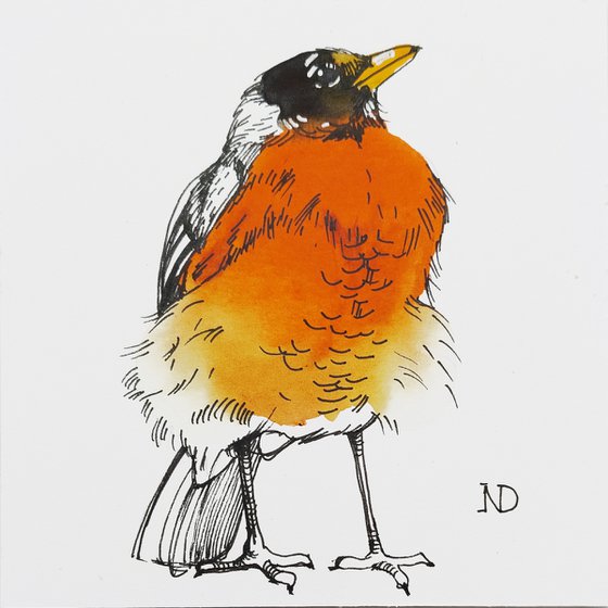 Robin bird watercolor painting original 4x4, Original bird ink line drawing sketch framed artwork, Shelf decor idea
