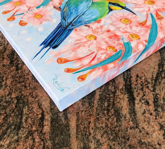 Rainbow bee-eaters