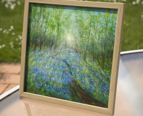 Bluebell woodland