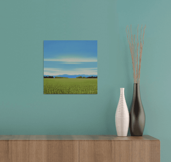 Summer Grass - Blue Sky Landscape