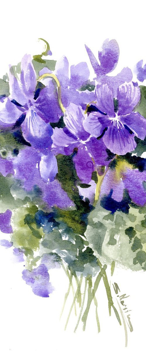 Violet Flowers From Garden by Suren Nersisyan