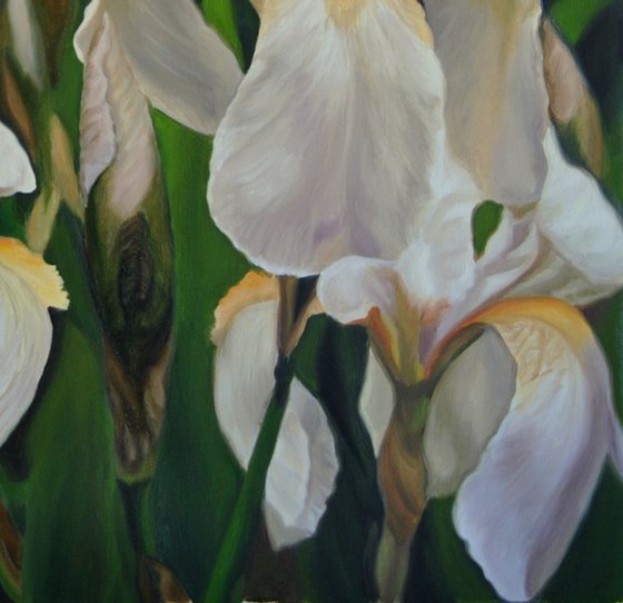 Irises painting